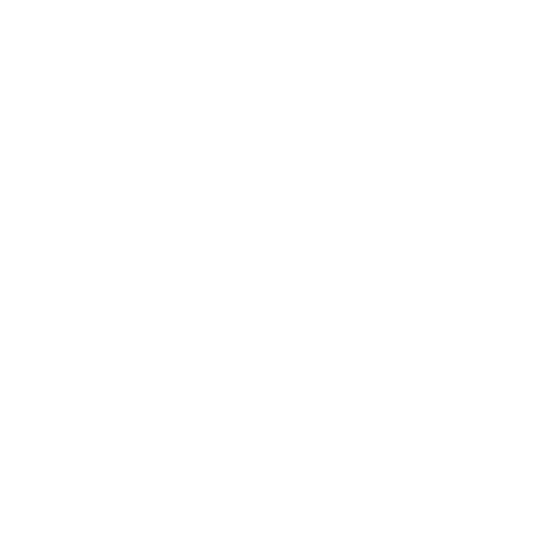 3X logo PNG